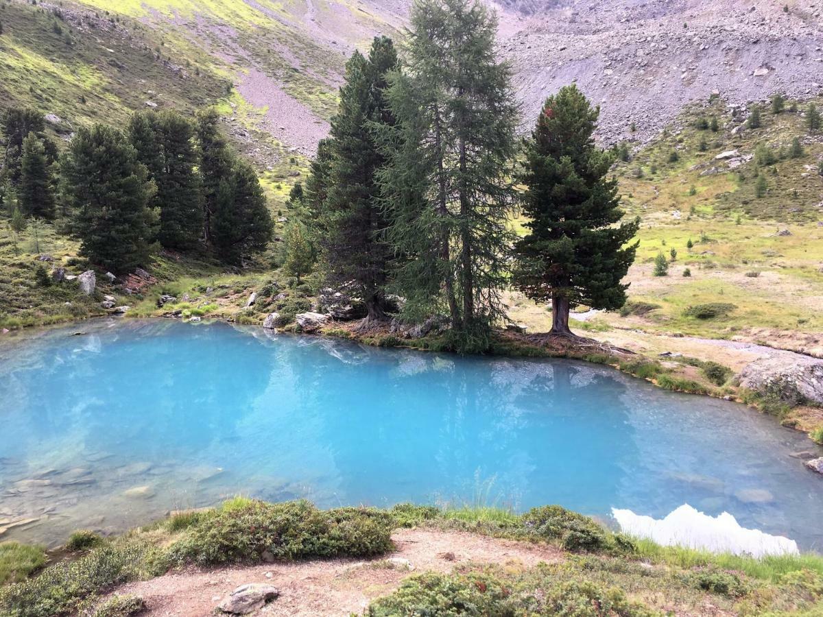 Haus Ladner Daire See Dış mekan fotoğraf