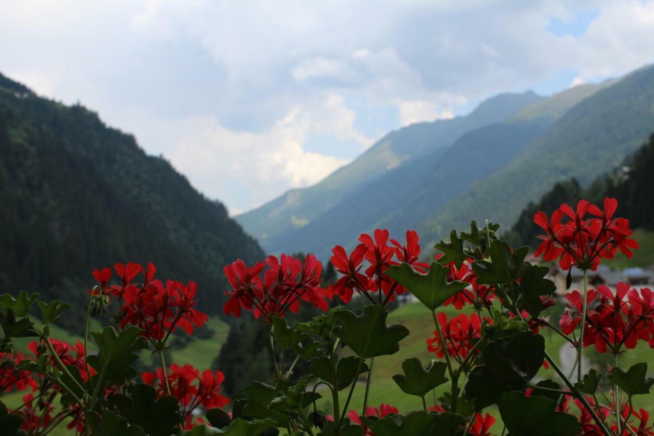 Haus Ladner Daire See Dış mekan fotoğraf